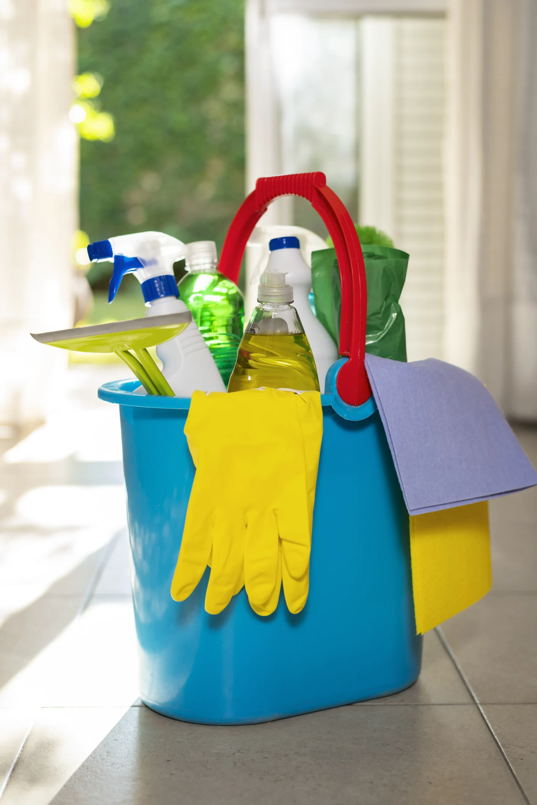Cleaning Chemicals & Supplies